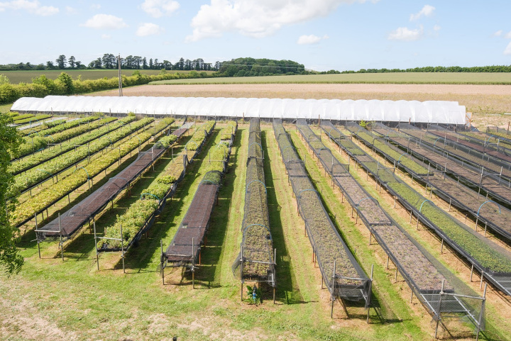 Galvanised benches and polytunnels