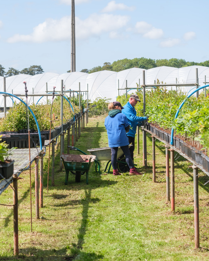 Staff at the Tree Nursery