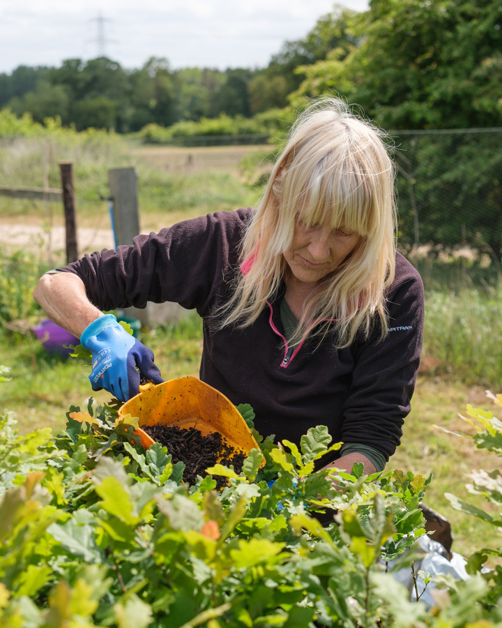 West Acre Tree Nursery
